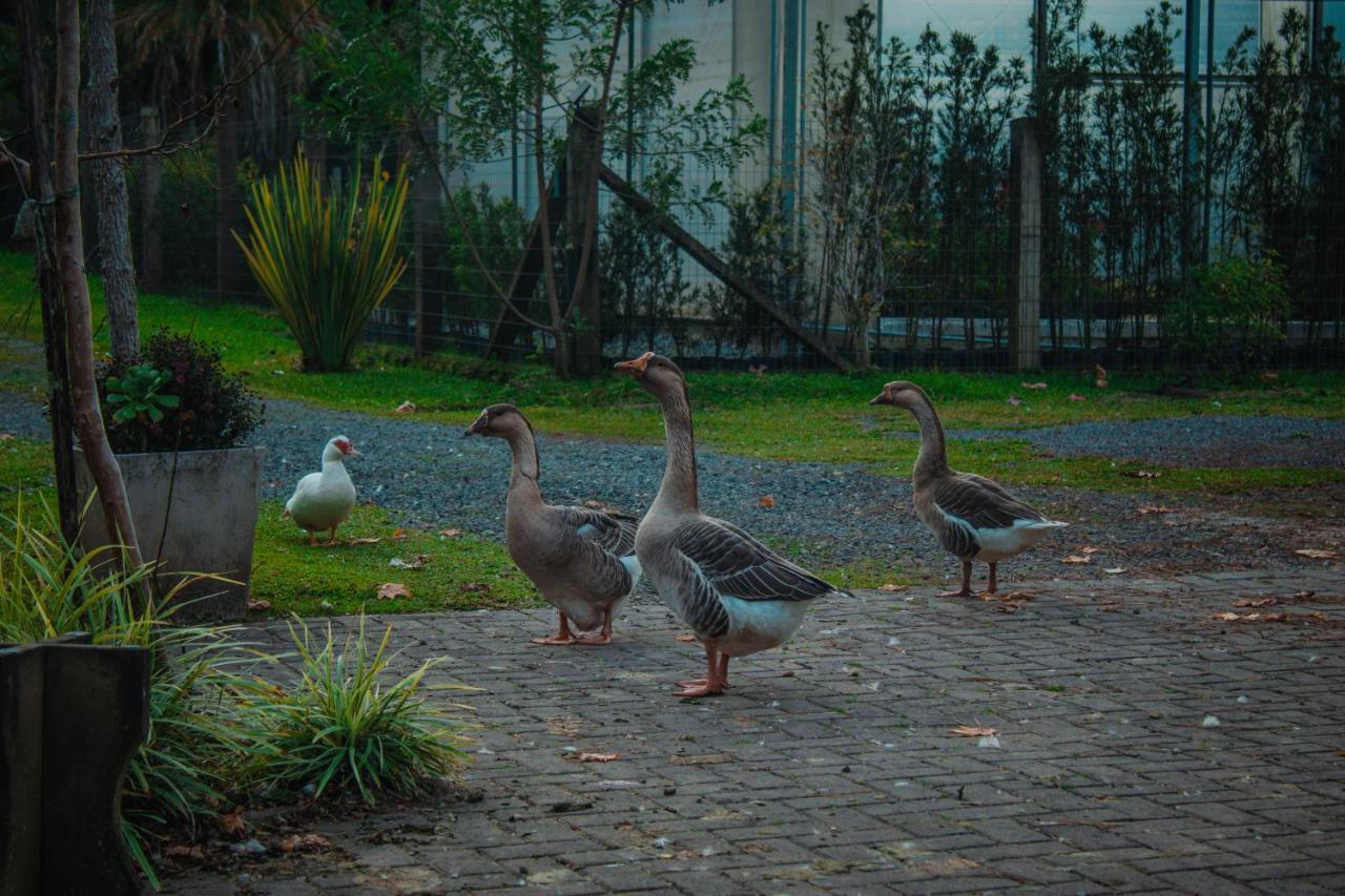 Gramado Motorpark Villa Buitenkant foto